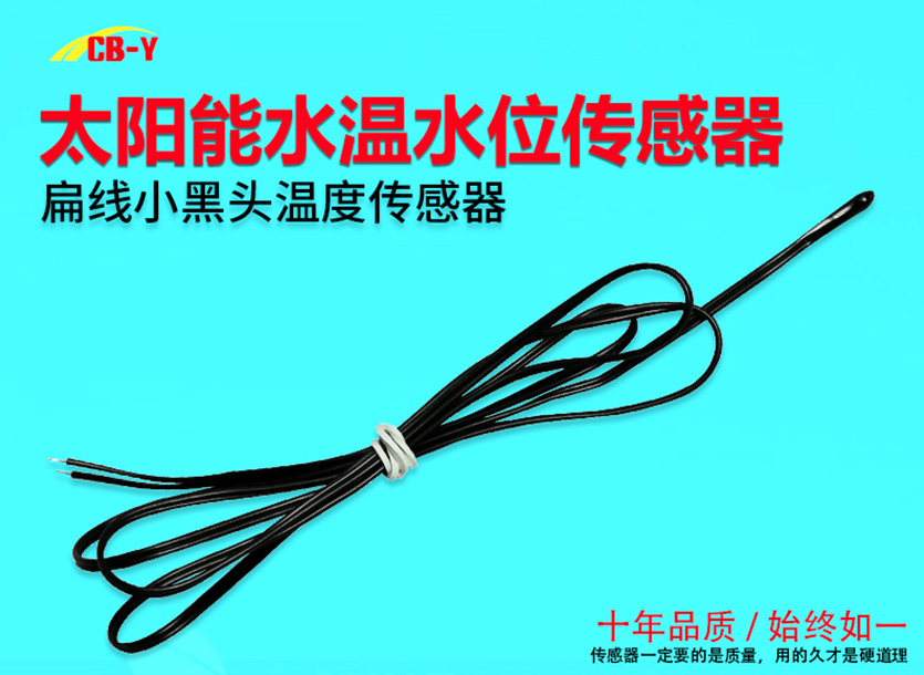 扁线小黑头温度传感器